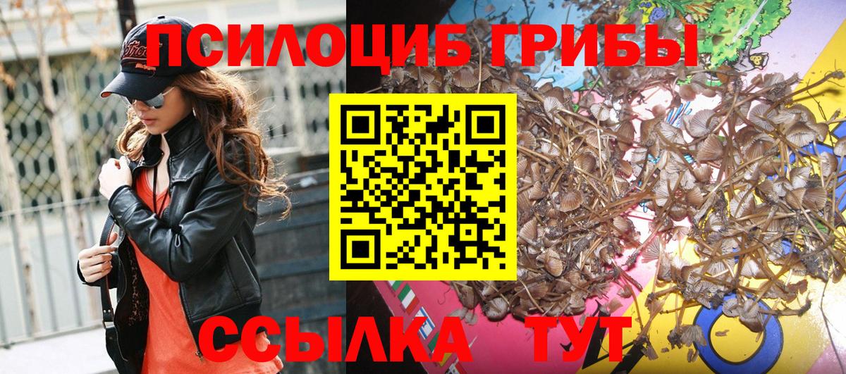 Гай  Псилоцибиновые грибы мухоморы  Вход с VPN  Галлюциногенные грибы Psilocybe 